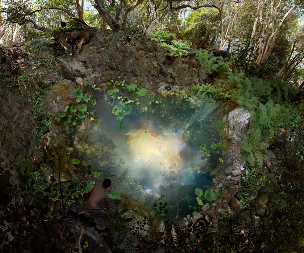 Wildlife Biology sydney college of fine arts Wildlife Biology sydney college of fine arts